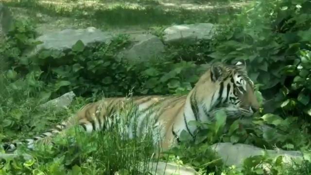 '2024-05-23 2학년 수학여행 2일차' 썸네일이미지