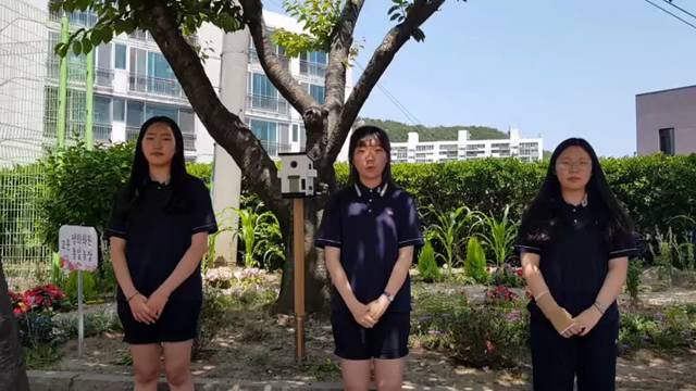 '2020 평화챌린지 공모작(해평화)' 썸네일이미지