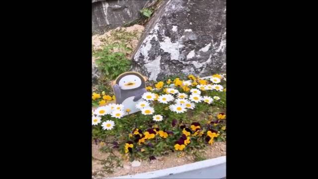 '2020학년도 유치원 소개 영상' 썸네일이미지