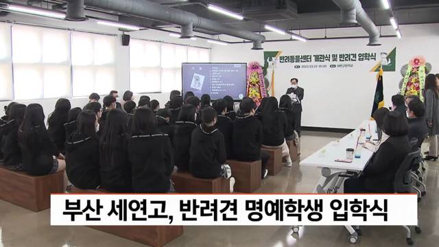 '[ KNN방송] 반려동물센터 개관식 및 반려견 명예학생 입학식' 썸네일이미지