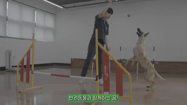 '2025학년도 반려동물과 홍보 영상' 썸네일이미지