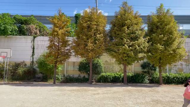 '유치원 환경 및 교육활동 소개 영상' 썸네일이미지