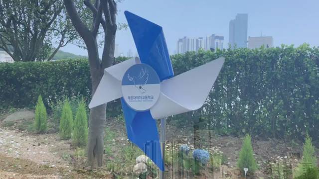 '평화로 걷기 챌린지 !!!' 썸네일이미지