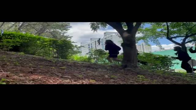 '평화로 걷기 챌린지 !!! ' 썸네일이미지