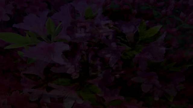 '교가영상' 썸네일이미지