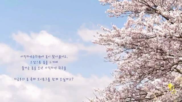 '봄 나들이 축제 책을 읽어봄, 놀아봄, 맛봄' 썸네일이미지
