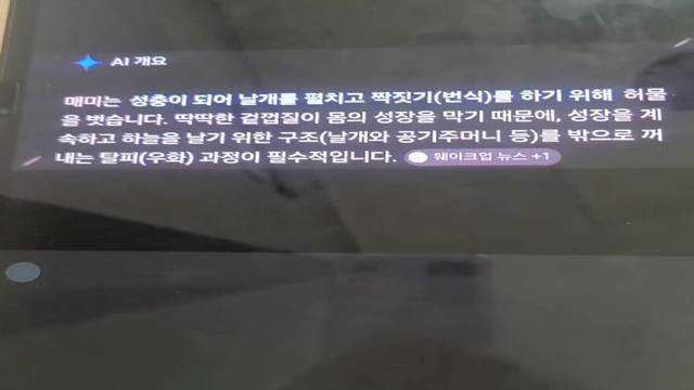 '6월 학습자상-탐구하는 사람 쇼츠_2번(3학년 5반 12번 손희탁)' 썸네일이미지
